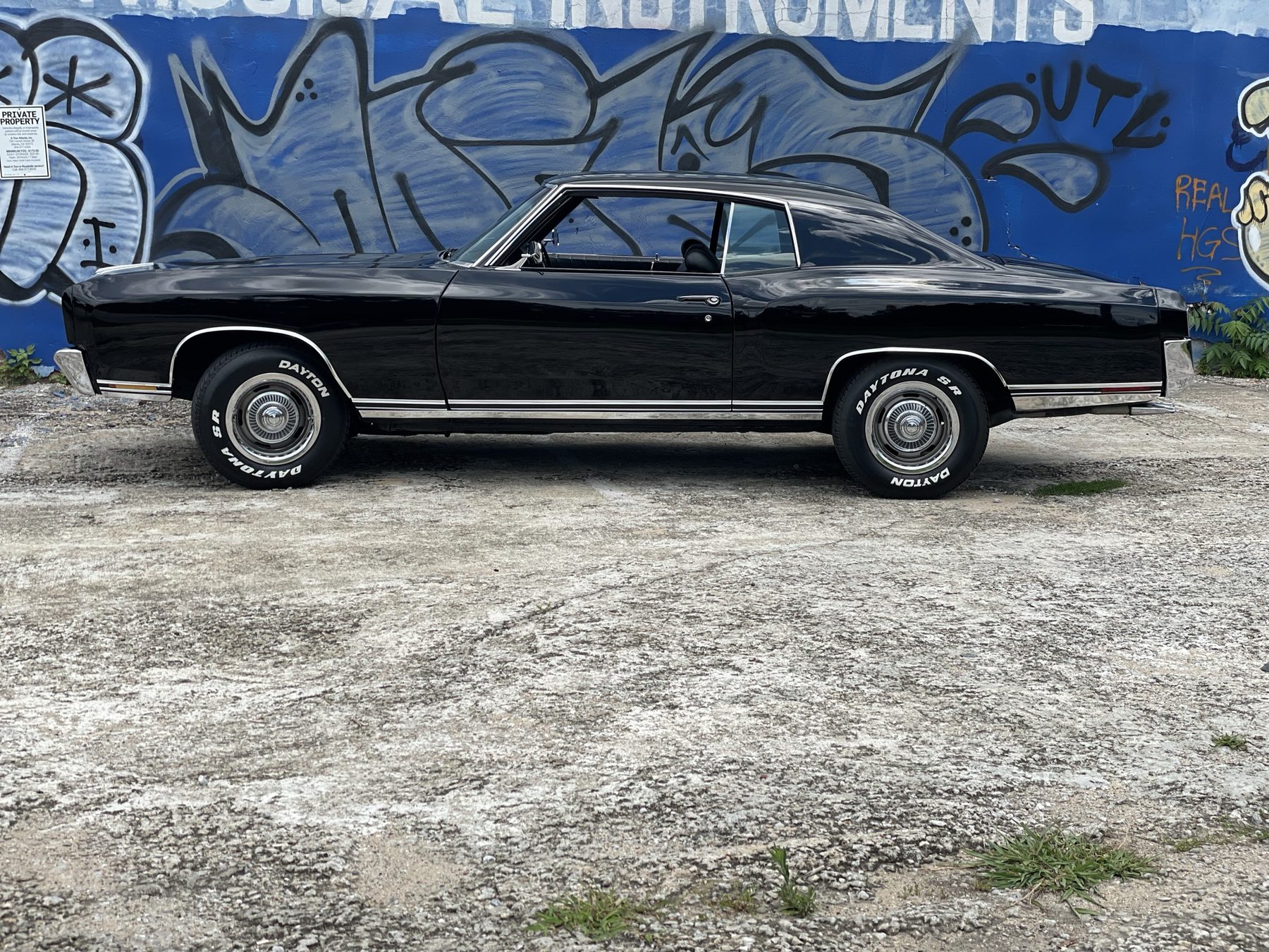 Monte Carlo detail